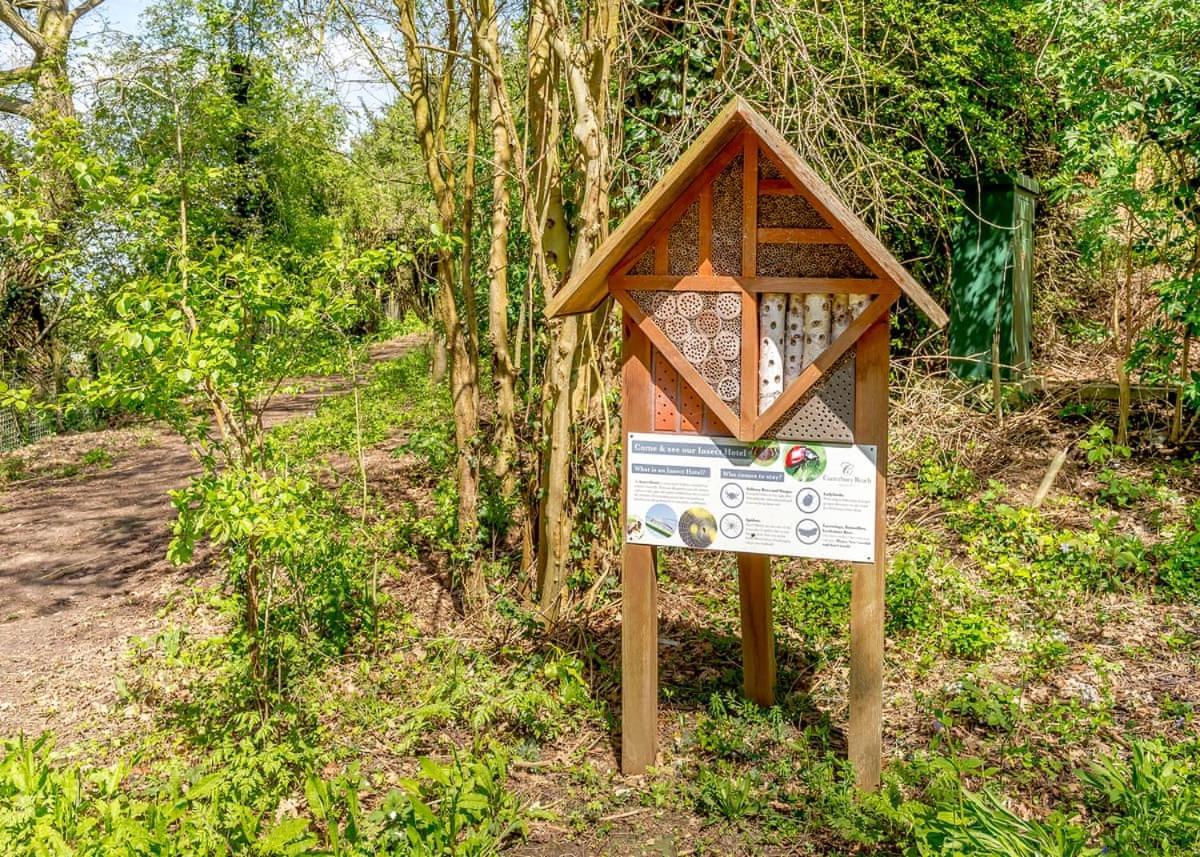 Canterbury Reach Lodge Retreat Petham Dış mekan fotoğraf